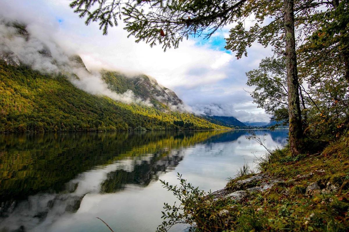 Apartmaji Pri Kozmavo - Little House Bohinj Dış mekan fotoğraf
