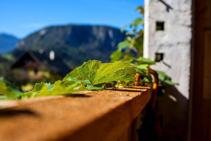 Apartmaji Pri Kozmavo - Little House Bohinj Dış mekan fotoğraf
